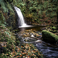 Buy canvas prints of Autumn at the Fairy Glen by David Brookens