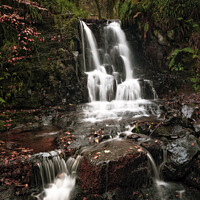 Buy canvas prints of Glenashdale Waterfall by David Brookens