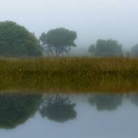 Buy canvas prints of Tree Reflection in Water by Duncan Loraine