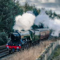 Buy canvas prints of Flying Scotsman - Steam Train by Duncan Loraine