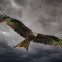 Buy canvas prints of Soaring through the Clouds by Duncan Loraine