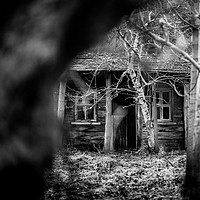Buy canvas prints of A Cabin in the Woods by Duncan Loraine