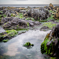 Buy canvas prints of Angry Seaham Rocks by Duncan Loraine