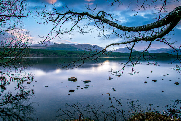 Loch Morlich Picture Board by Duncan Loraine