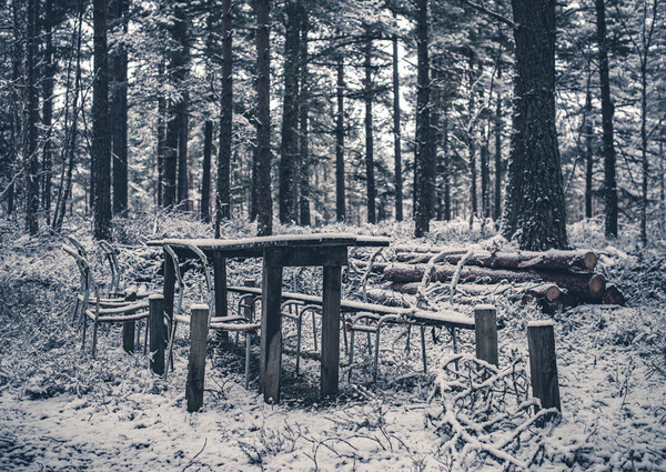 Abandoned Table in the Woods Picture Board by Duncan Loraine