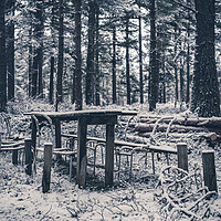 Buy canvas prints of Abandoned Table in the Woods by Duncan Loraine
