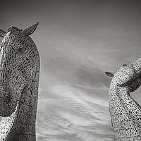 Buy canvas prints of Kelpies in Black and White by Duncan Loraine