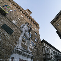 Buy canvas prints of Statue of David in Florence, Italy by Sergio Delle Vedove