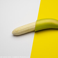 Buy canvas prints of banana peeled by Sergio Delle Vedove