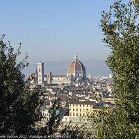 Buy canvas prints of Panoramic view of Florence, Ital,y by Sergio Delle Vedove