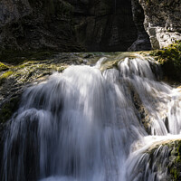 Buy canvas prints of waterfalls of a river in the wood by Sergio Delle Vedove
