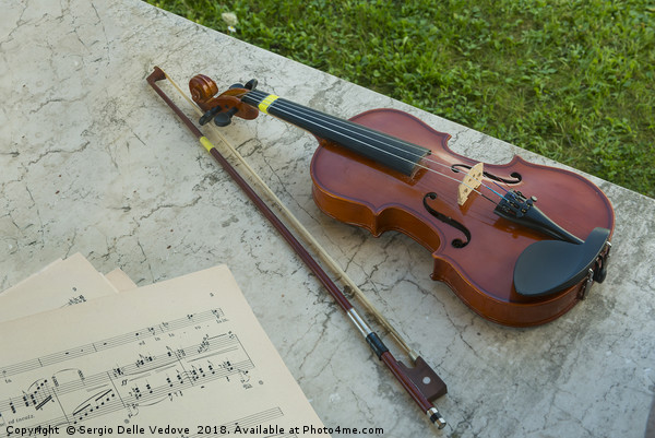 Violin and musical score Canvas Print by Sergio Delle Vedove