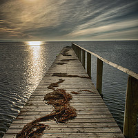 Buy canvas prints of the wooden walkway by Sergio Delle Vedove