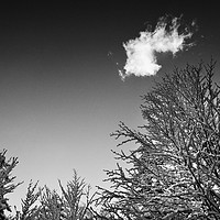 Buy canvas prints of A cloud in the sky in winter by Sergio Delle Vedove