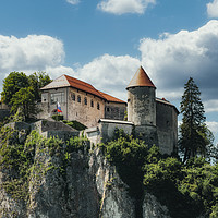 Buy canvas prints of The castle of Bled by Sergio Delle Vedove