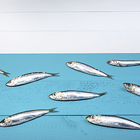 Buy canvas prints of Sardines on a blue table by Sergio Delle Vedove