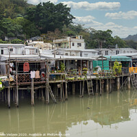 Buy canvas prints of A panoramic view of Tai O Village, Hong Kong  by Sergio Delle Vedove
