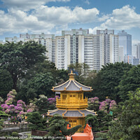 Buy canvas prints of Nan Lian park in Hong Kong    by Sergio Delle Vedove