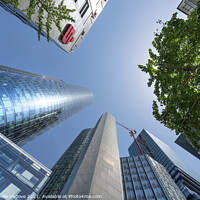 Buy canvas prints of Skyscrapers in Frankfurt by Sergio Delle Vedove