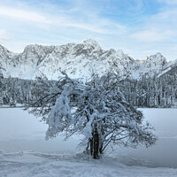 Buy canvas prints of Winter at Fusine lake, Italy  by Sergio Delle Vedove