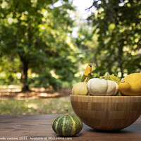 Buy canvas prints of some colorful pumpkins  by Sergio Delle Vedove