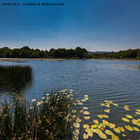 Buy canvas prints of Burton Mill Pond by Stuart C Clarke