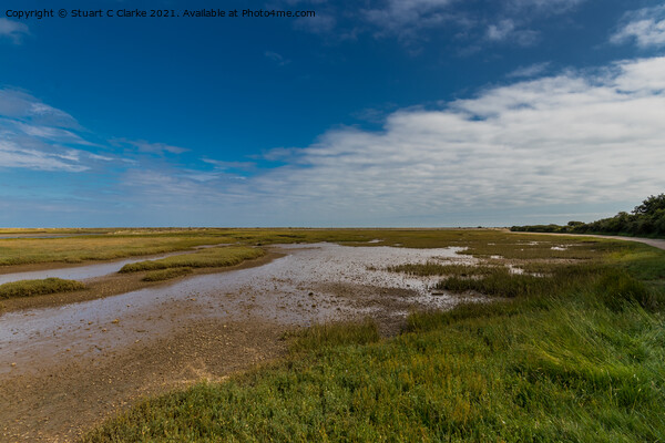 Pagham Harbour Picture Board by Stuart C Clarke