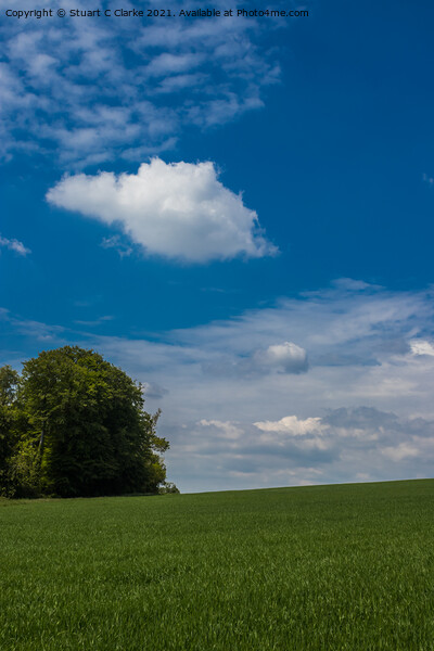 Halnaker countryside Picture Board by Stuart C Clarke