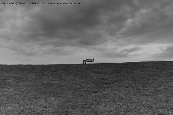 The lone bench Picture Board by Stuart C Clarke