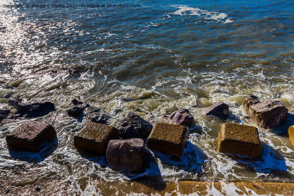 Selsey sea defences Picture Board by Stuart C Clarke
