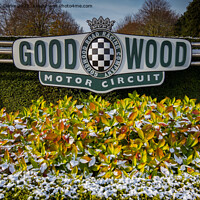 Buy canvas prints of Winter snow at Goodwood by Stuart C Clarke