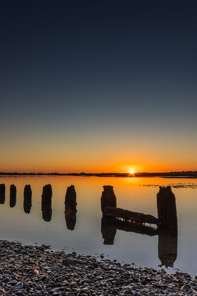 Pagham sunset Picture Board by Stuart C Clarke