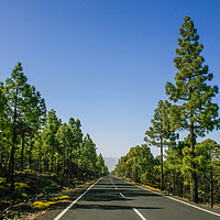 Buy canvas prints of Road to Mount Teide by Stuart C Clarke
