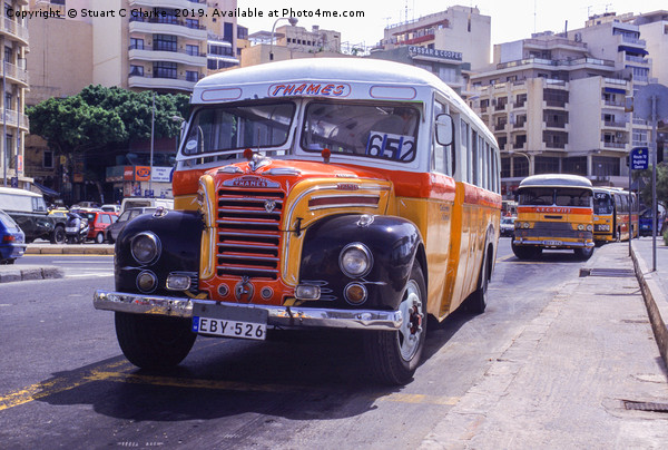 Maltese bus Picture Board by Stuart C Clarke