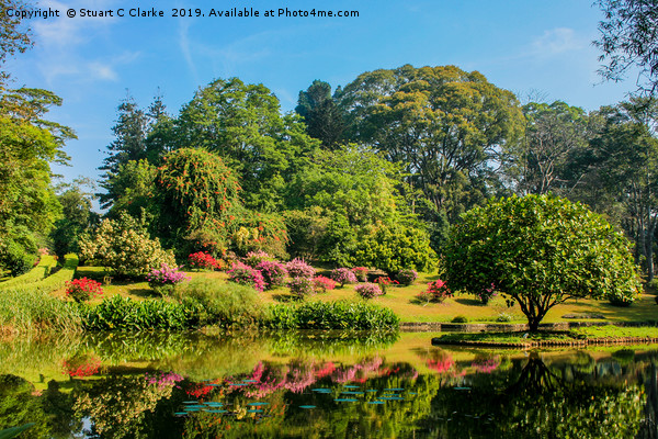 Botanic Gardens Picture Board by Stuart C Clarke