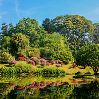 Buy canvas prints of Botanic Gardens by Stuart C Clarke