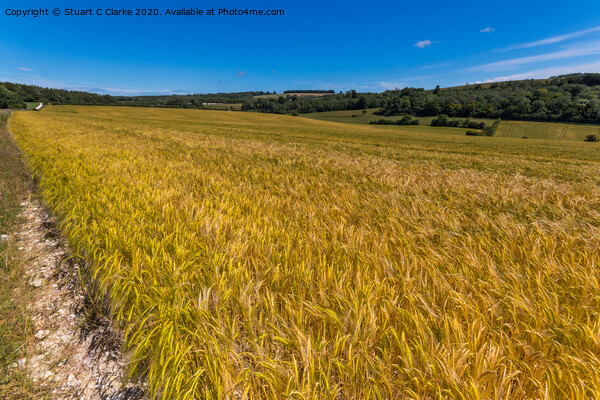 Field of crops Picture Board by Stuart C Clarke