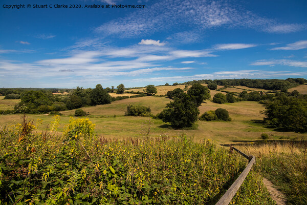 Petworth countryside Picture Board by Stuart C Clarke