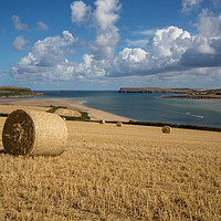Buy canvas prints of Harvest Time Overlooking The Camel Estuary by Kate Whiston