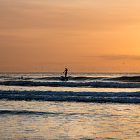 Buy canvas prints of Sunset Paddle Boarder by Kate Whiston
