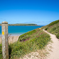 Buy canvas prints of The Path to the Beach by Kate Whiston