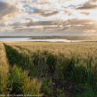 Buy canvas prints of Sunrise over the barley by Kate Whiston