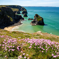 Buy canvas prints of Pinks above Bedruthan Steps by Kate Whiston