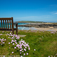 Buy canvas prints of Bench overlooking Treyarnon Bay by Kate Whiston