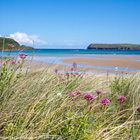 Buy canvas prints of Padstow Pride In The Dunes by Kate Whiston