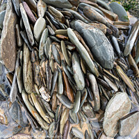 Buy canvas prints of Rockpool pebbles by Kate Whiston