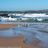 Buy canvas prints of Seagulls waiting for the waves by Kate Whiston