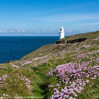 Buy canvas prints of Spring At Trevose Head by Kate Whiston