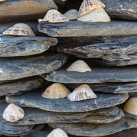 Buy canvas prints of Limpet Tower by Kate Whiston