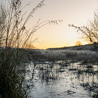 Buy canvas prints of Frosty pond by Kate Whiston